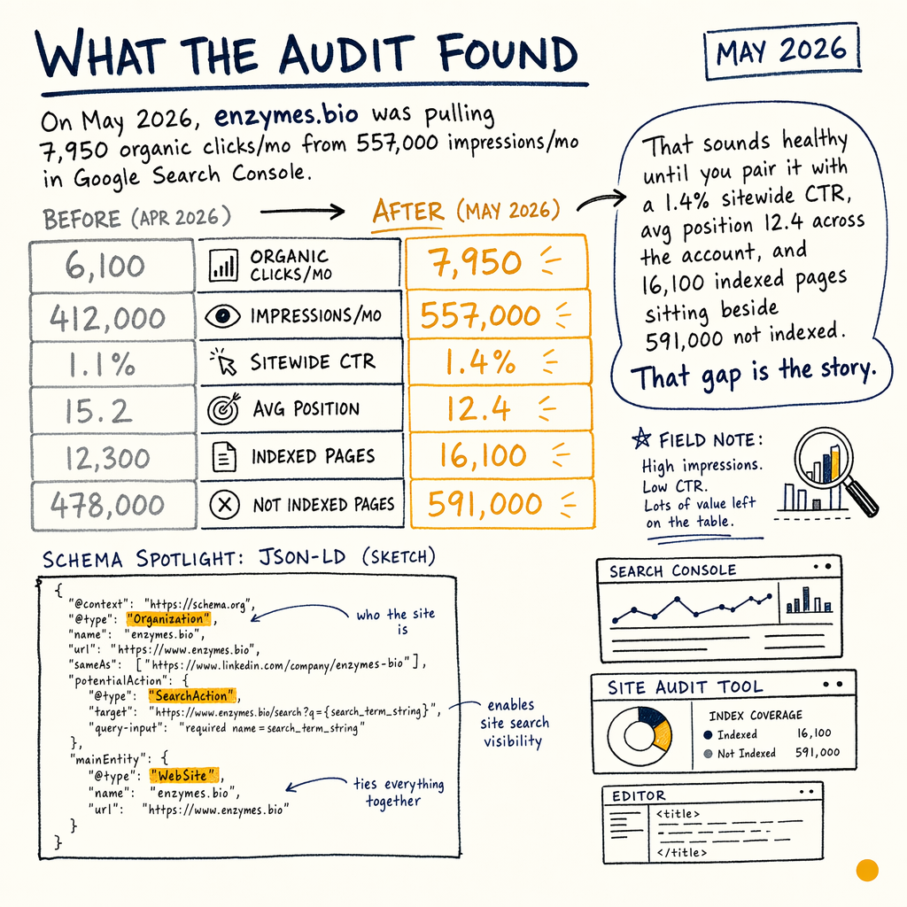 Hand-drawn SEO audit summary comparing before and after metrics for enzymes.bio in May 2026