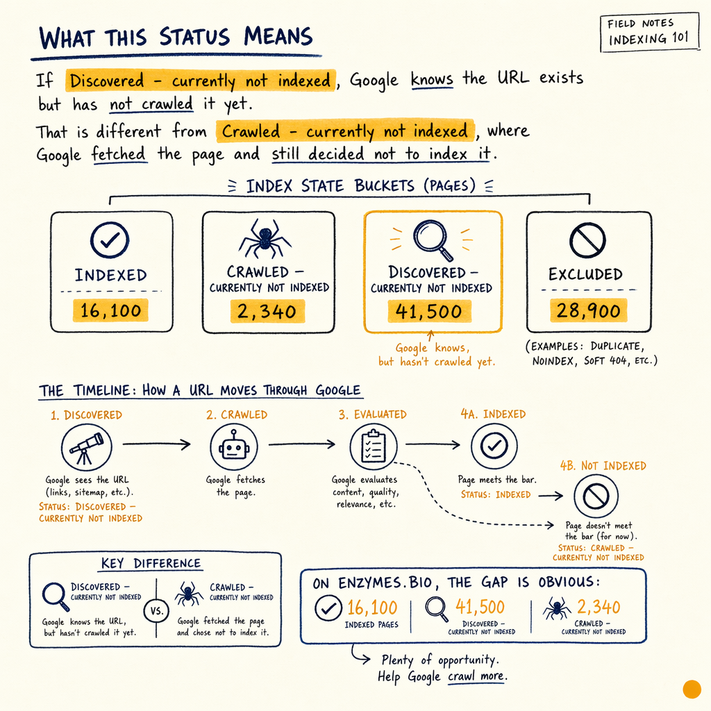 Technical SEO infographic showing Google index status buckets and URL crawl timeline