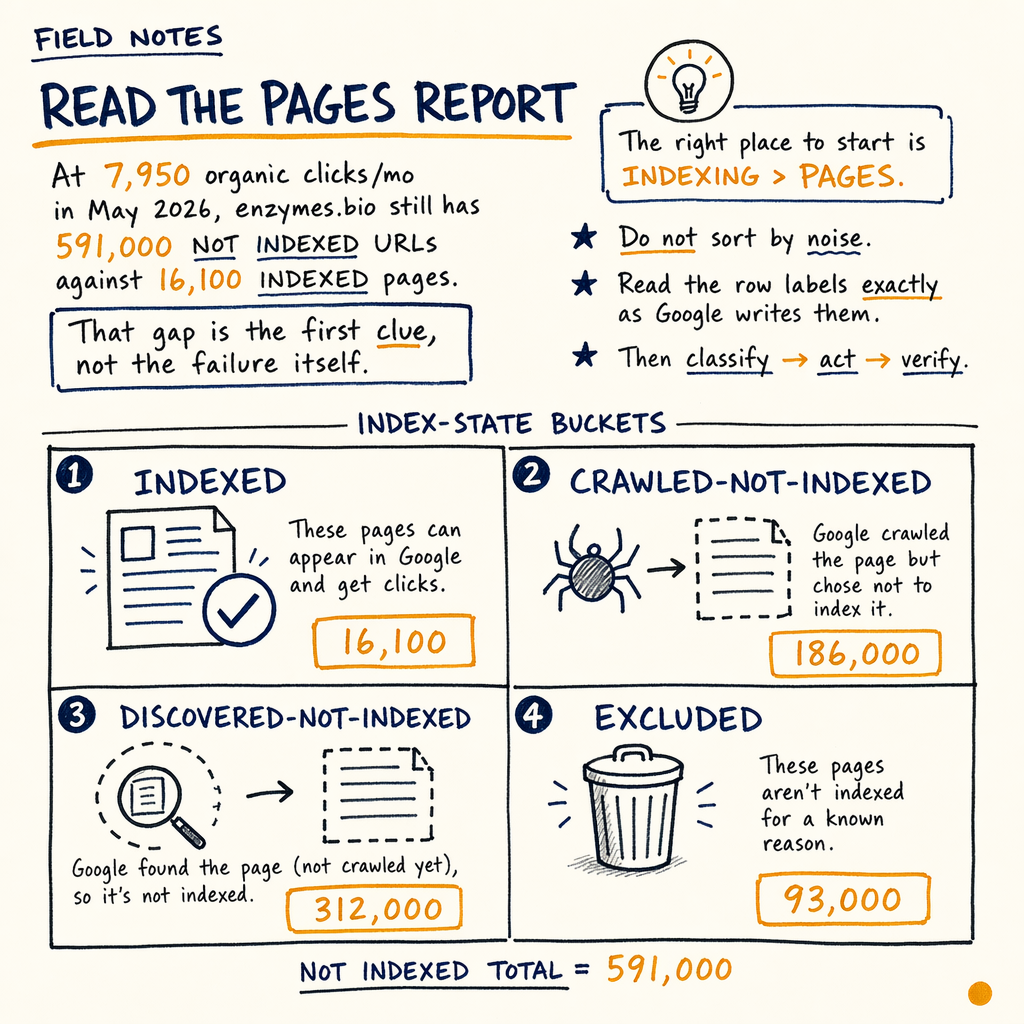 Hand-drawn "Read the Pages Report" diagram showing four index-state buckets and counts